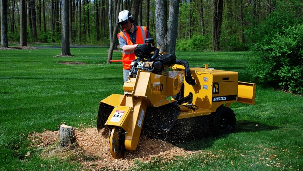 Rayco confie la distribution de ses rogneuses à Saelen