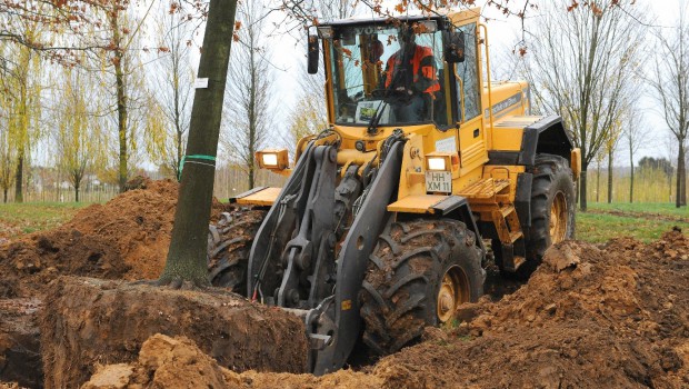 Hambourg : Volvo au service des arbres