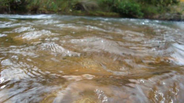 Eau et biodiversité : quels résultats pour Suez ?