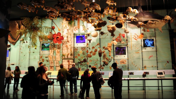 Biodiversité : nouvel appel à projets en 2016