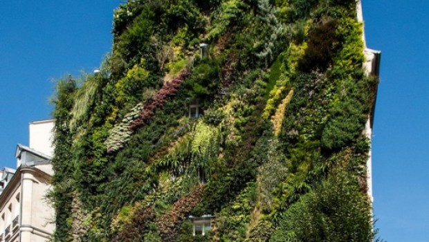 Les murs végétaux de Kyocera fêtent leurs 10 ans