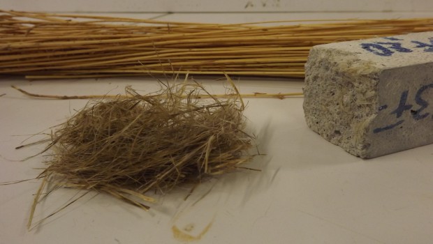Vers un béton en fibres de lin?