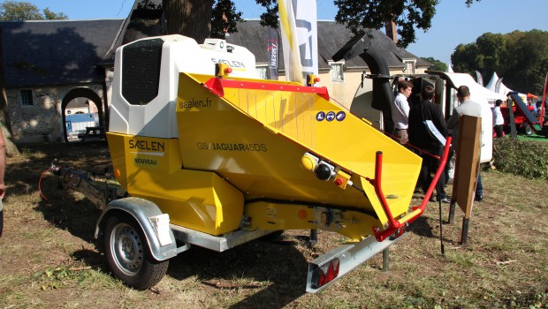 Saelen sort un Jaguar vorace