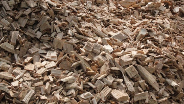 Coup de chaleur pour Ségolène Royal