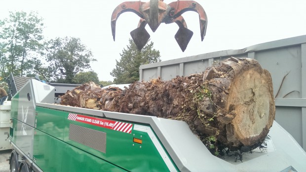 Avec l'Axtor de Komptech, les palmiers n'ont qu'à bien se tenir !