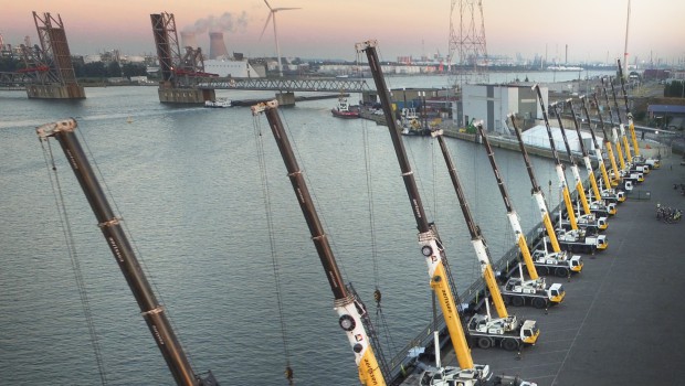 Port of Antwerp: 14 Groves in the pipes