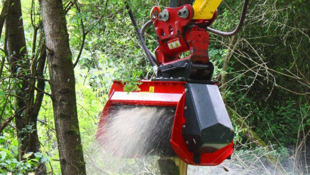 Ahwi-Prinoth chez Hantsch au Sima