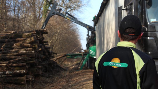 ONF Energie:  Les plaquettes ont de la ressource 