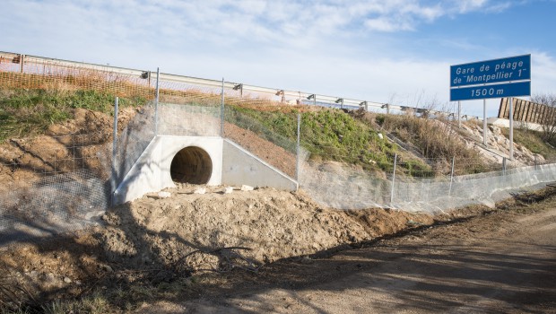 Un passage pour la faune sous l’A9