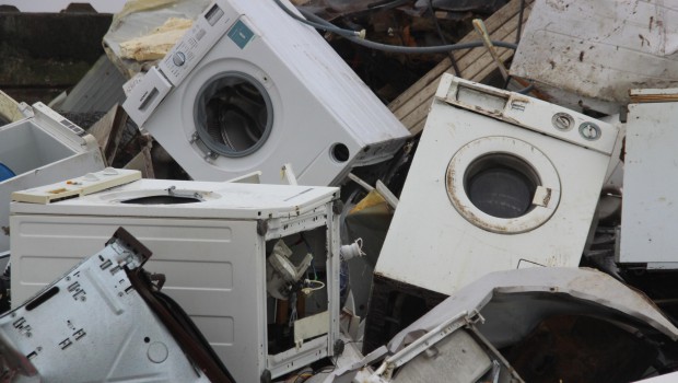 Baudelet labellisé Weeelabex