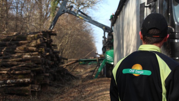 Bénéfice record pour l’ONF en 2016