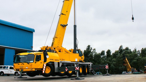 « Diamonds are the Grove's best friends »