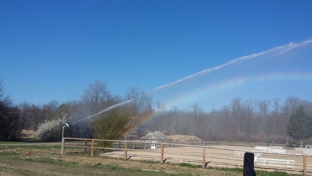 Le club hippique de Pibrac prend l'eau