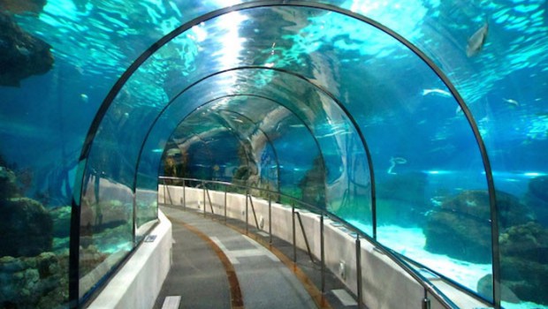 India's first undersea high-speed rail tunnel drilling has started