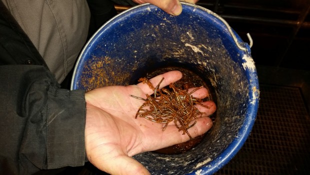 Goudsmit sort un filtre magnétique pour pâte à papier