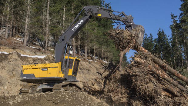 Nouvelle-Zélande : des pelles taillées pour la forêt