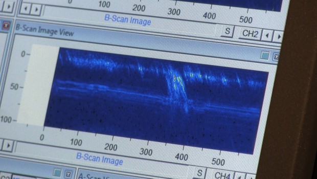 Mistras à l'écoute de la voie ferrée
