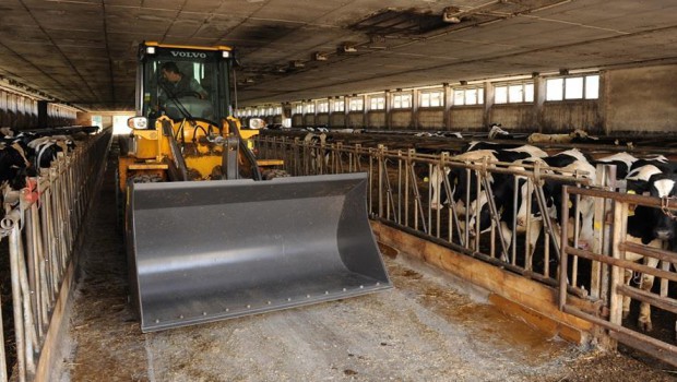 Volvo machines assure German farmer powerful dairy producer's position
