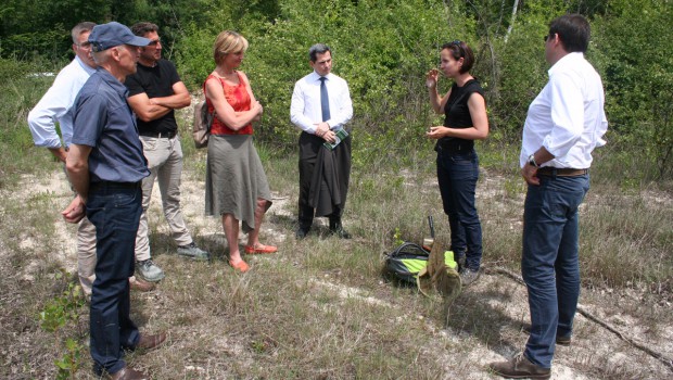 La carrière d'Enieu préserve sa faune et sa flore