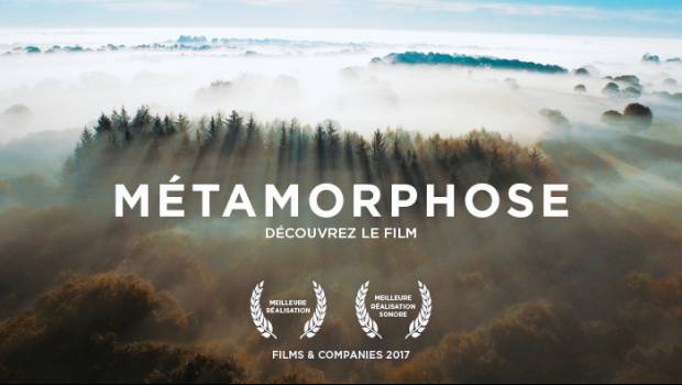 Moisson de prix pour Paprec