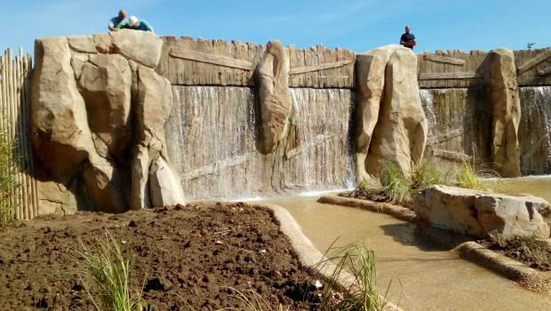 Le béton s'invite au zoo de Beauval