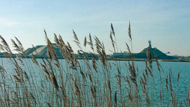 Récompenser les actions pour la biodiversité en carrières