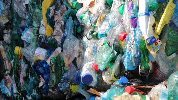 PET opaque : Paprec Recyclage s’associe à LSDH