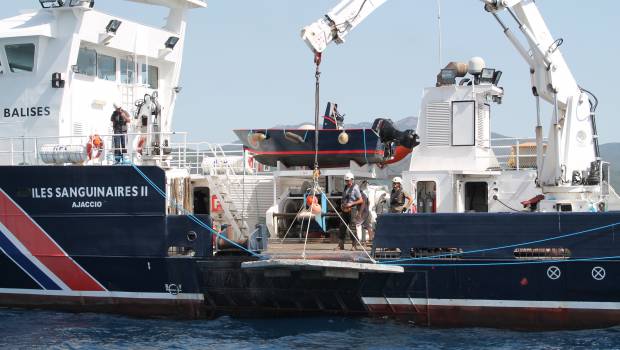 Du béton au secours des poissons