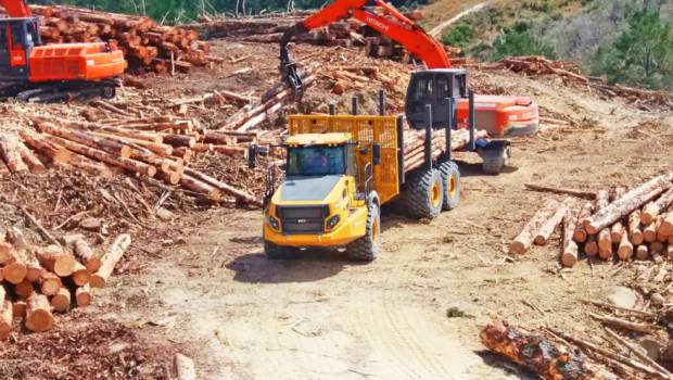 Porteurs forestiers : le Bell T403E à l’épreuve du terrain