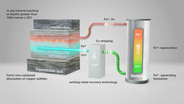 Mines : focus sur le concept Biomore