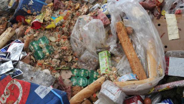 Biodéchets : Pizzorno gagne son Paris