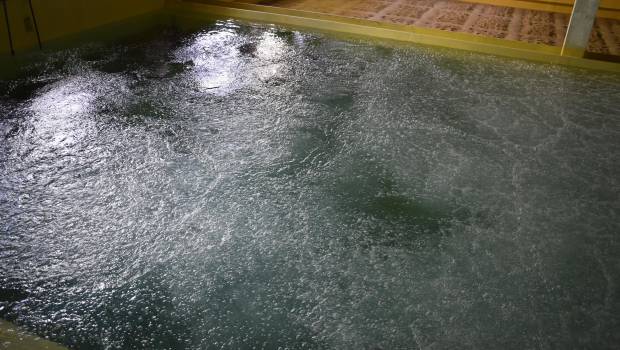 Quelles solutions pour préserver l'eau potable ?