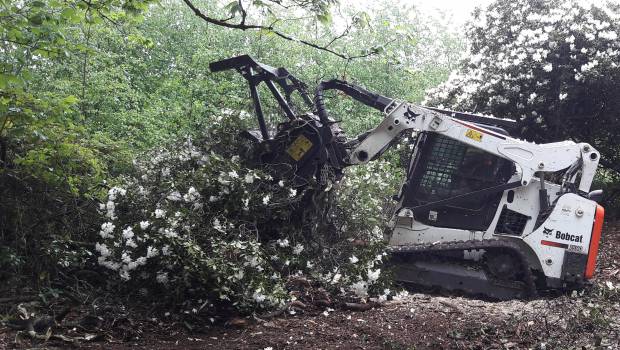 Bobcat garnit son offre de débroussailleuses forestières