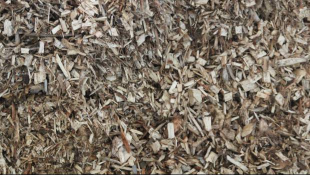 Les chaudières biomasse ont leur syndicat