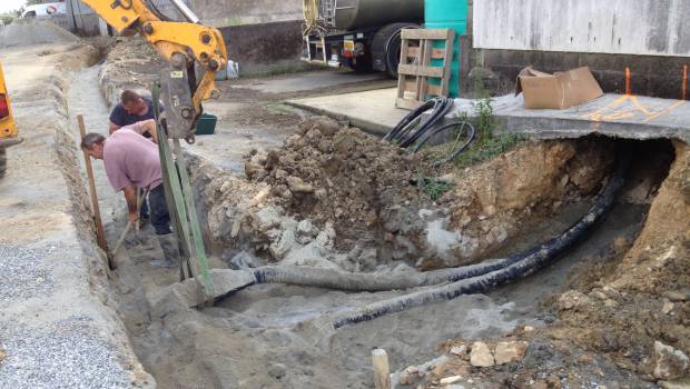 Une ferme avicole chauffée au bois déchiqueté