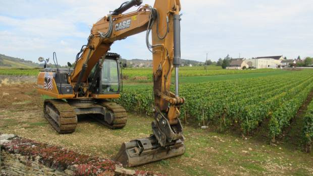 Case dans les vignes de Meursault