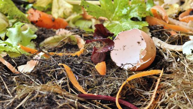 Biodéchets : Louvre Hotels Group s’associe à Moulinot