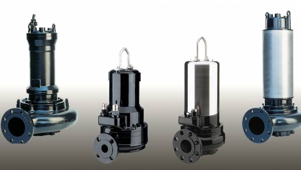 Ifat en grande pompe pour Tsurimi