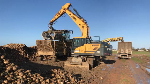 Hyundai récolte les betteraves