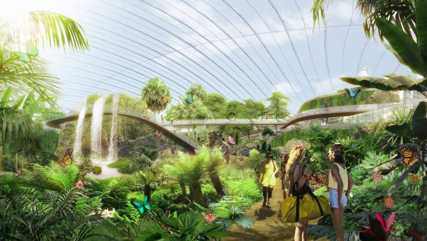 Les Hauts-de-France accueilleront la plus grande serre tropicale au monde