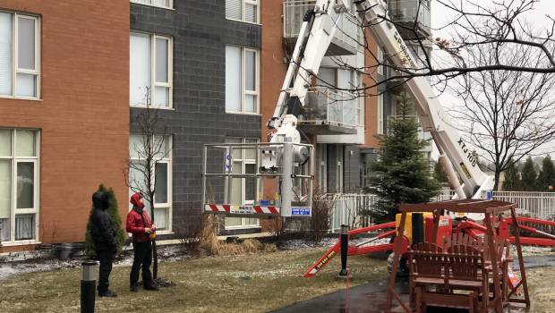 Palazzani nomme un distributeur au Québec