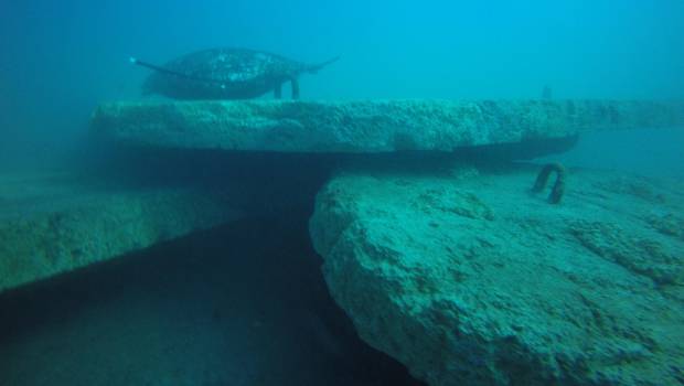 Le béton se mouille pour la biodiversité !