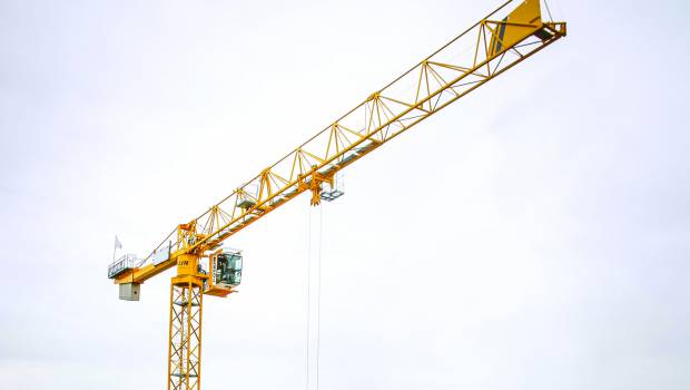 « Les grues doivent revenir dans les quartiers »