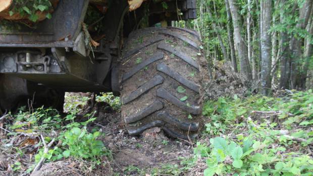 Alliance F344 LP : un pneu d’élite