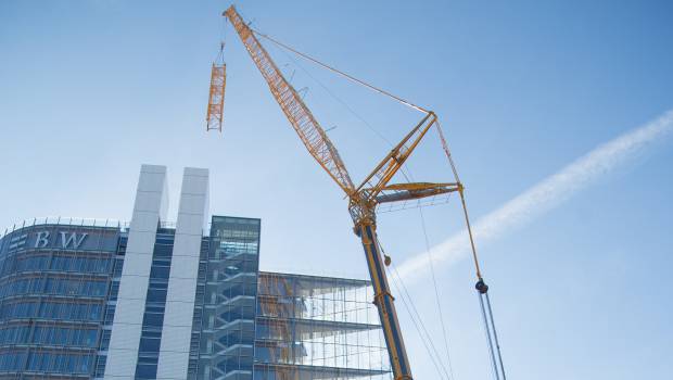Duo de grues à Stuttgart