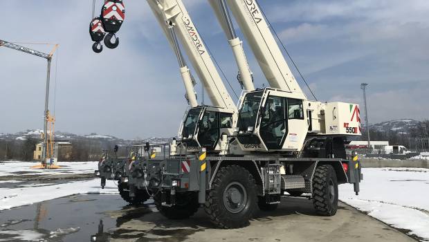 Des grues Grove pour Officine Dandrea