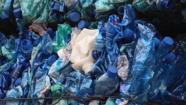 Soprema va recycler les barquettes PET et les bouteilles opaques