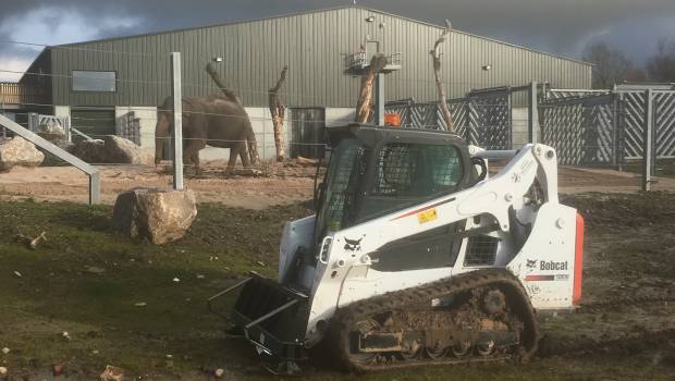 Une T590 Bobcat agrandit l’habitat des éléphants d’un zoo anglais