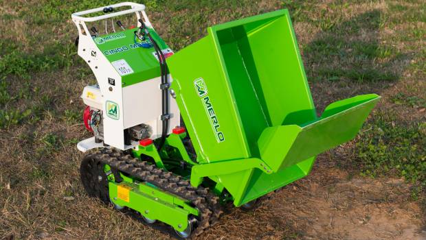 Merlo : le « Cingo » à l’honneur sur Salonvert