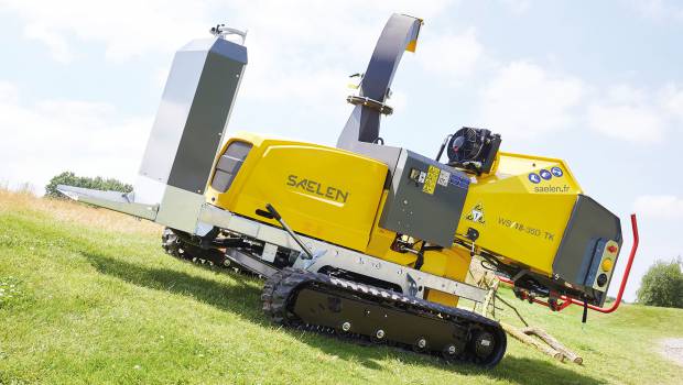 Quand Saelen adopte des chenilles